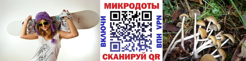 Купить  Советская Гавань  Псилоцибиновые грибы мухоморы 